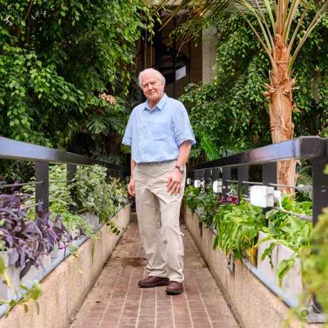 Madame Tussauds London Unveils Sir David Attenborough (16)